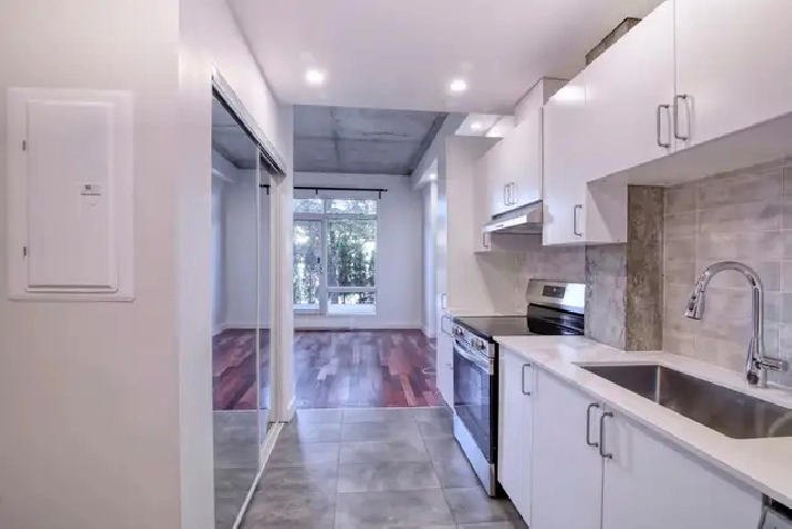 Beautiful renovated studio by the Lachine canal - ID 4767