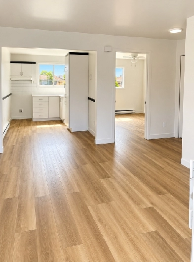 1 CH - 1 SDB - Saint-Césaire - $1,095 /mo