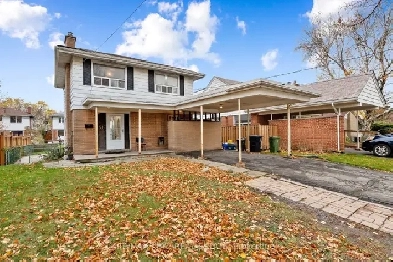 Basement apartment for Rent