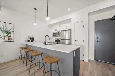 LUXURY 2 Bed 2 Bath Apartment! Located In Garden City!