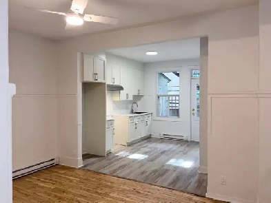 4½  RÉNOVÉ, COEUR DU PLATEAU, ELECTRO INCLUS