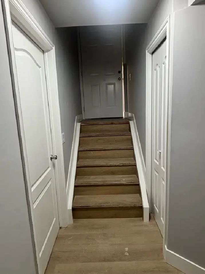 Newly Renovated Basement Suite for Rent
