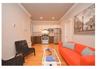Beautifully Renovated 3-Bedroom Apartment