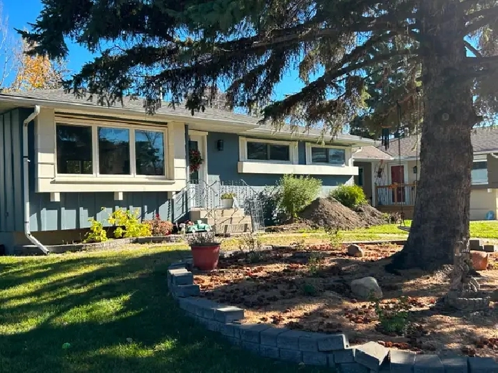 Newly renovated Upper Floor in Haysboro