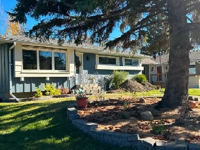 Newly renovated Upper Floor in Haysboro