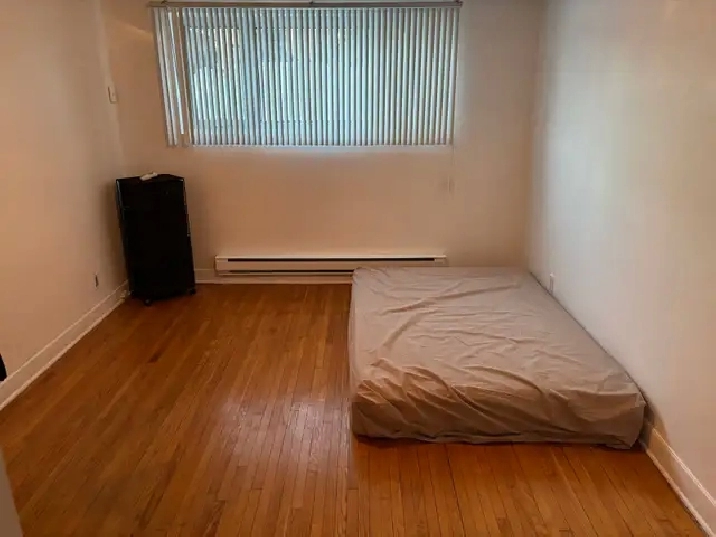 bachelor for rent. ( 2 and 1/2)