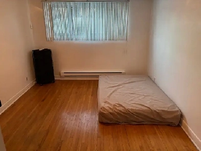 bachelor for rent. ( 2 and 1/2)