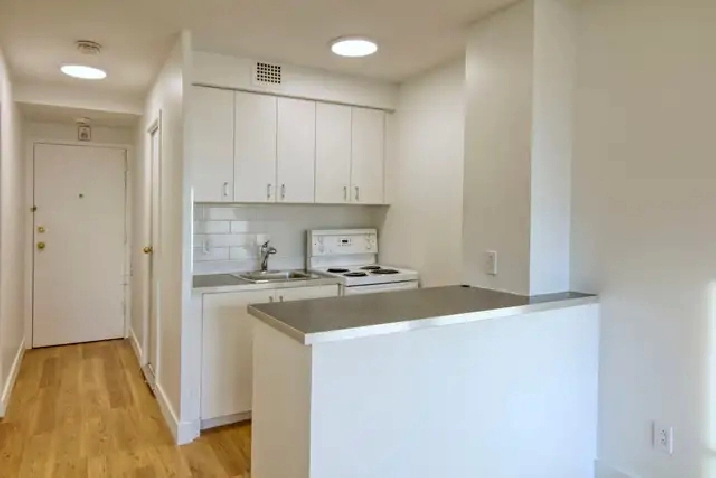 studio apartment near McGill - ID 3851