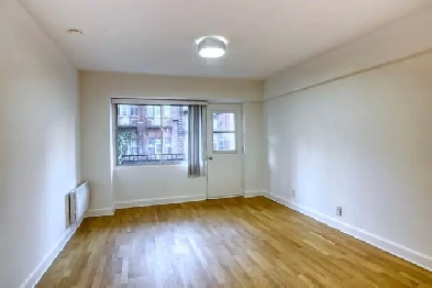 one bedroom apartment near McGill - ID 2057