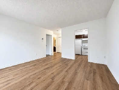1 CH - 1 SDB - Montréal - $1,250 /mo