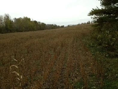 100-Acre Workable Farm for Lease – Owen Sound Area