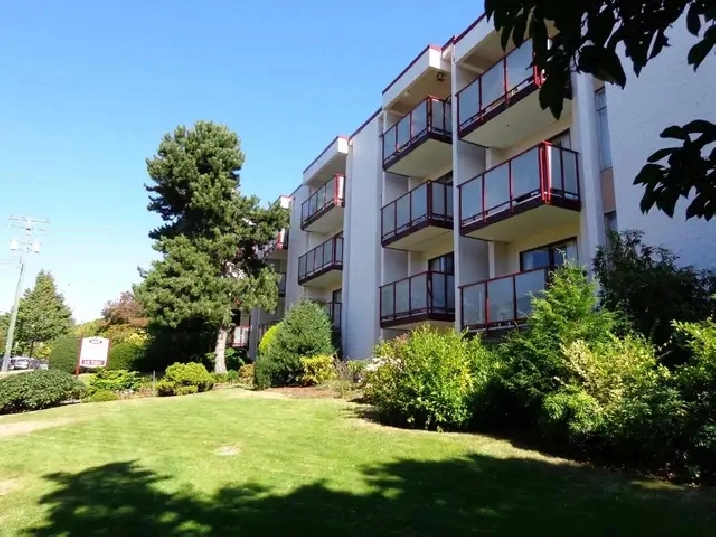 1 Bedroom Apartment for Rent - 1025 Linden Avenue