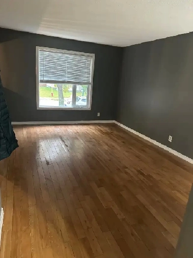 House for rent