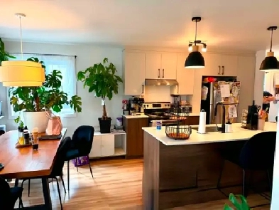 Ste-Anne-des-Plaines Grand 4 1/2 à louer