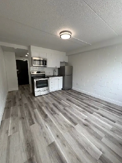 NEWLY RENOVATED - BACHELOR UNITS - Affordable Rent Unit