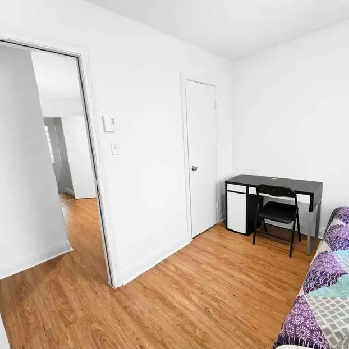 Photo 5