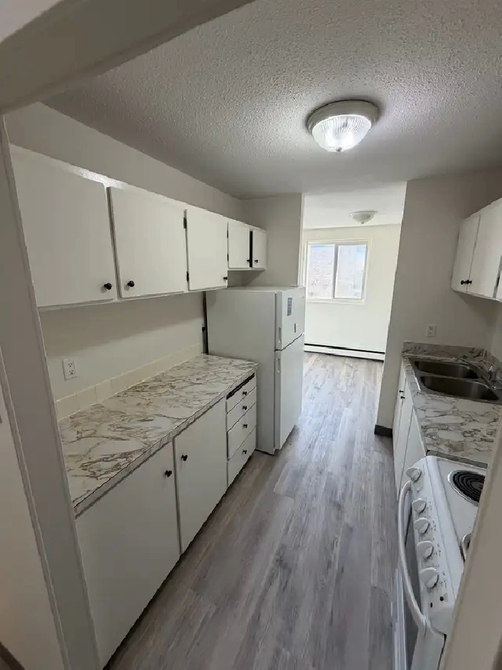 Brevoort Park 2 bedroom suite available Nov 1st