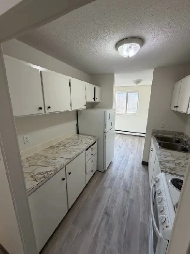 Brevoort Park 2 bedroom suite available Nov 1st