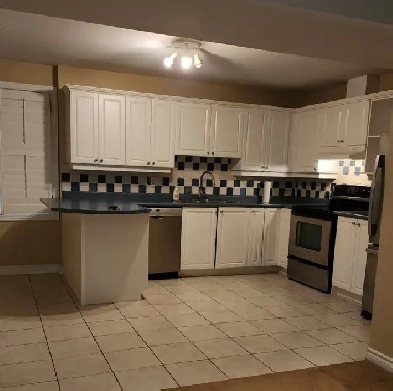 Spacious 2BR Walkout Basement Apartment Prime Location Newmarket