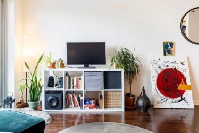Furnished 2BR Sublet - Liberty Village, Lake   CN Tower Views