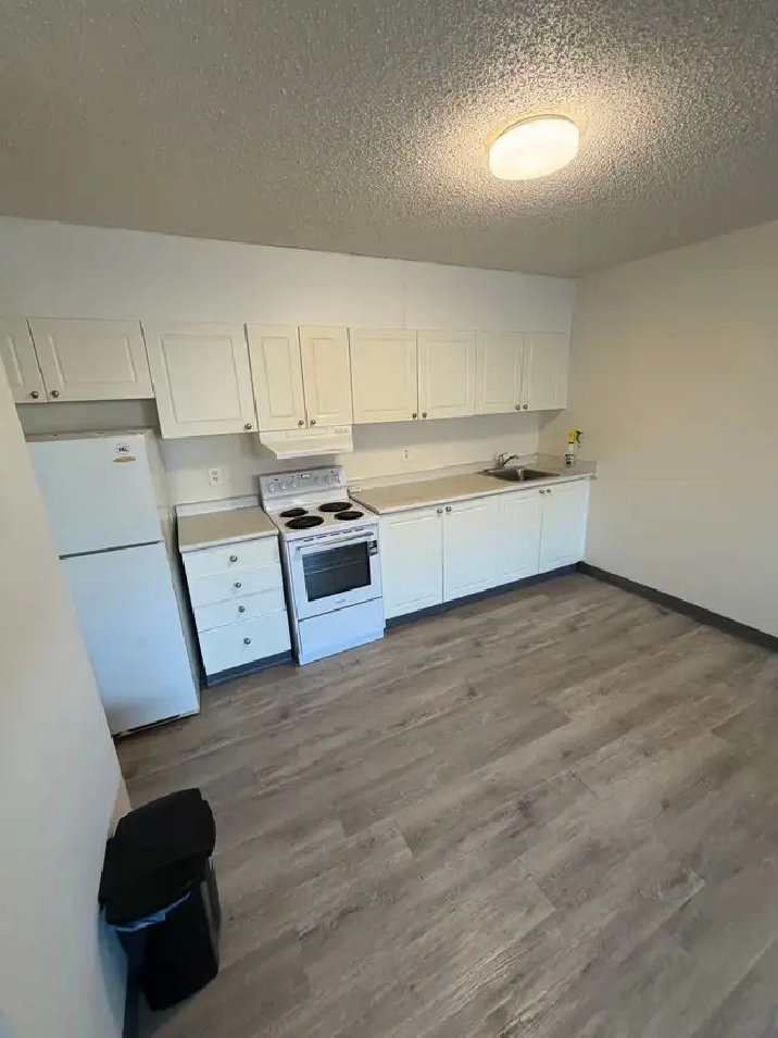 1 bedroom suite in Brevoort Park north