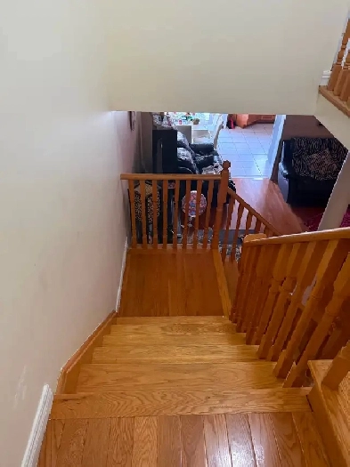 Looking for an easy going roommate