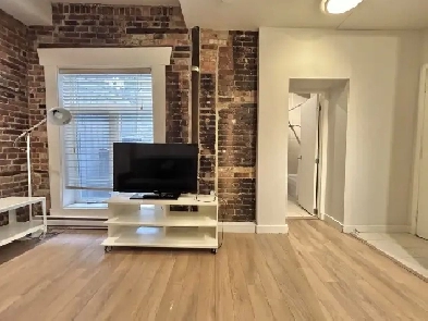 Loft studio à louer Saint-Jean-Baptiste juillet 2026