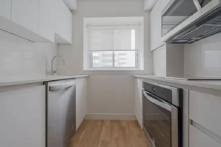 two-bed, two-bath apartment near McGill and Peel - ID 1473