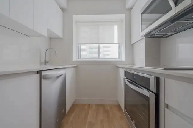 two-bed, two-bath apartment near McGill and Peel - ID 1473
