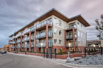 Mordern Bright  1BD den condo available Dec1st