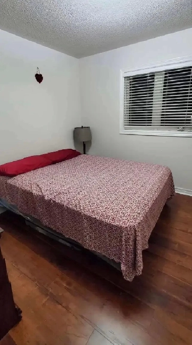 1Bed 1Bath available for rent in Brampton