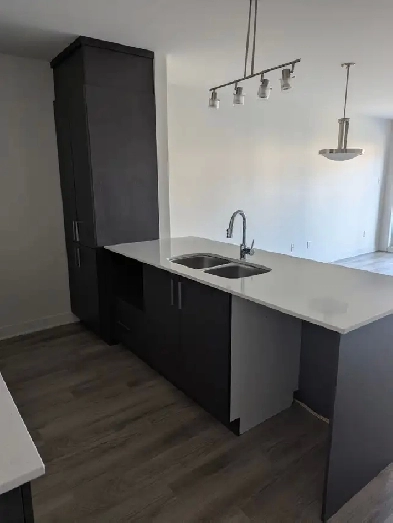 3 1/2 Terrebonne (Lachenaie), 1595$/mois, libre maintenant