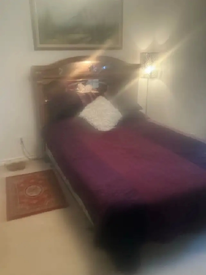 House bungalow