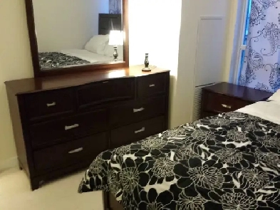 ONE BEDROOM   SMALL DEN FURNISHED CONDO SHORT/LONG RENT SQUARE 1