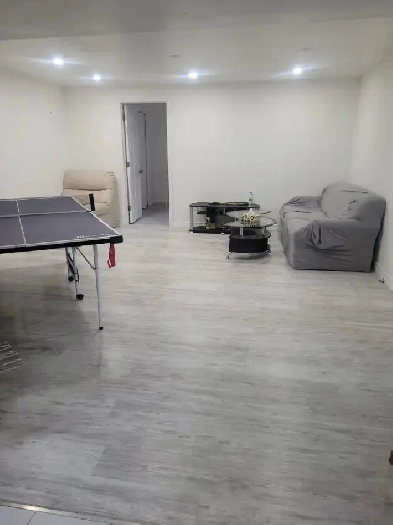 Renovated Basement Apartment