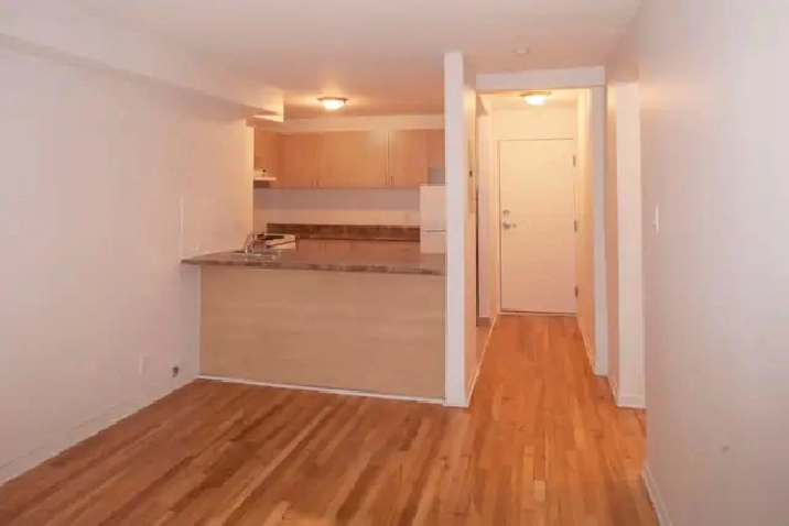 3.5 for rent, November 1, near Snowdon, HEC, UdeM - ID 2584