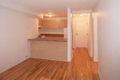 3.5 for rent, November 1, near Snowdon, HEC, UdeM - ID 2584
