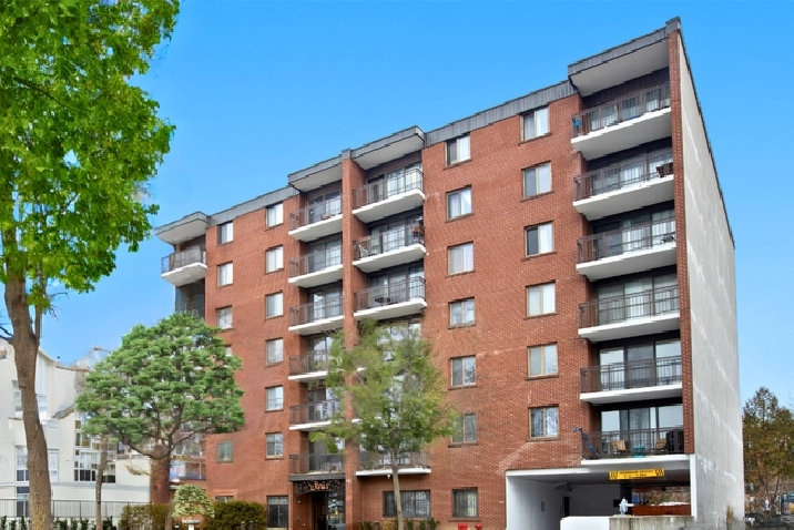 Le Paris Apartments - 1 Bedroom available at 141 Augusta Street,