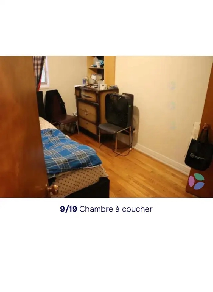 Photo 4