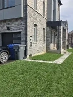 ONE-BEDROOM DUPLEX BASEMENT APARTMENT IN BRAMPTON (1.5 WASHROOM)