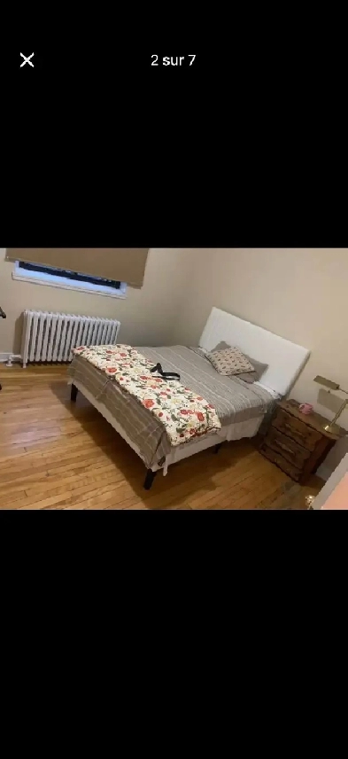 Roommates Room rent CDN Chambre à louer colocation