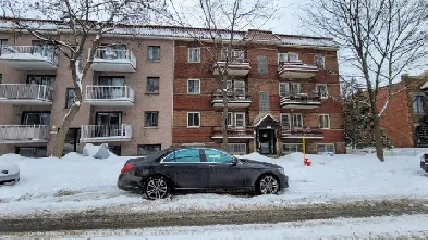 À LOUER   GRAND 3 1/2 AU PLATEAU-MONT-ROYAL