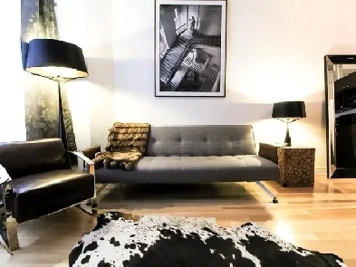 1 Br for rent in downtown Mtl