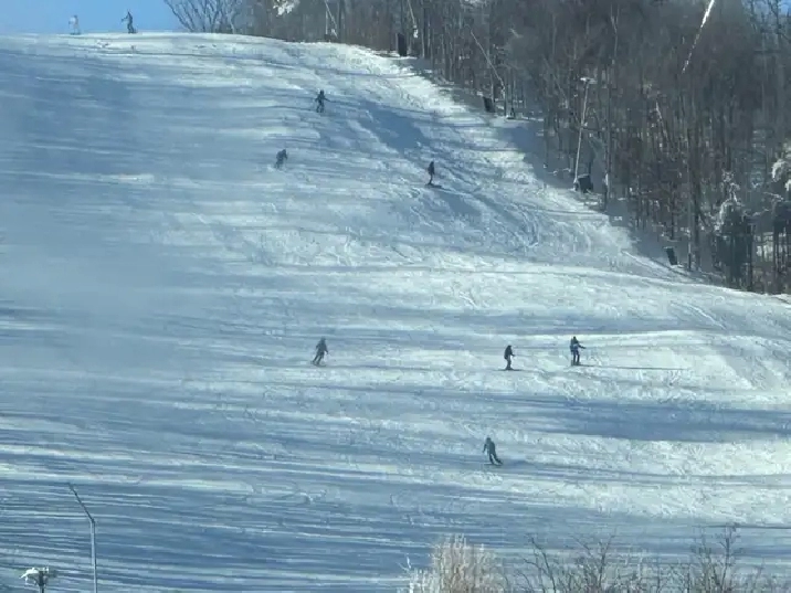 Room(s) in Collingwood ~ BLUE MOUNTAIN Snowboarders welcome