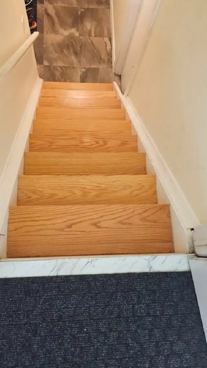 Basement Room Rental - Scarborough