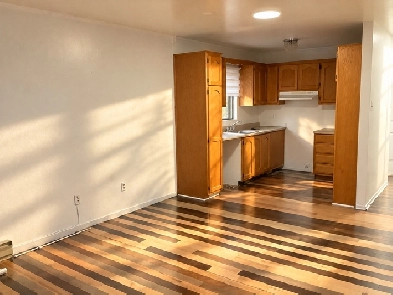4½ À LOUER — 1 250 $/MOIS — RIVIÈRE-DES-PRAIRIES