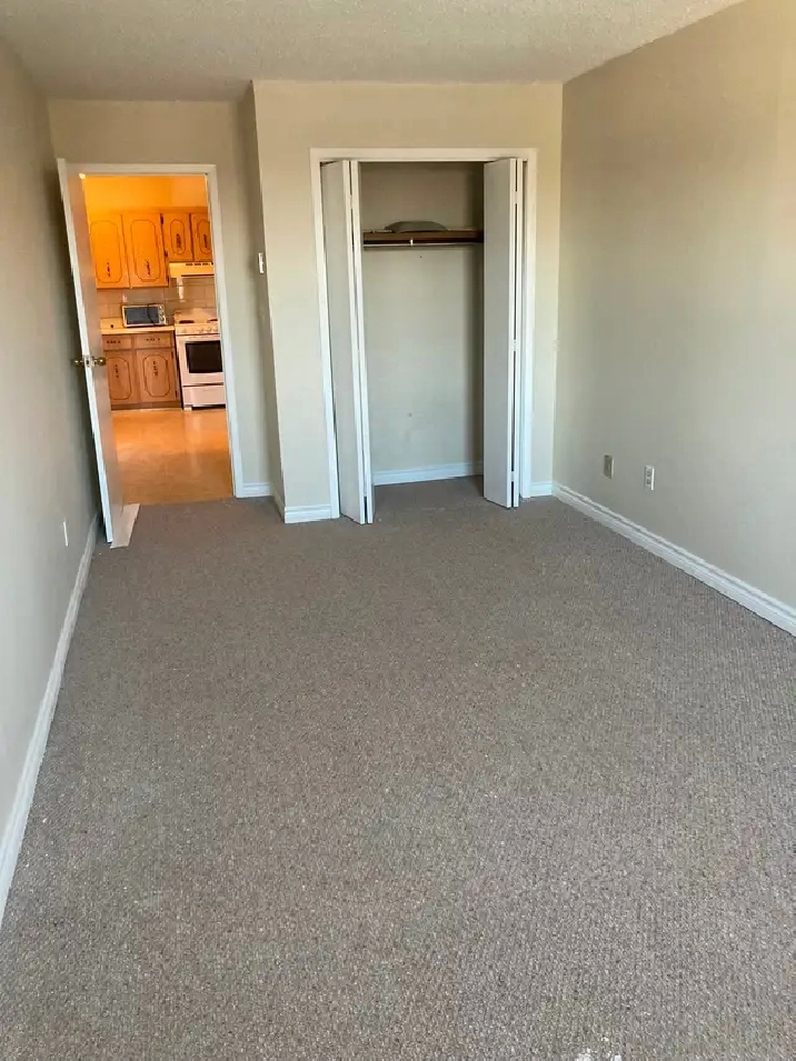 MOUNT FOREST....1 large apartment Dec 1st