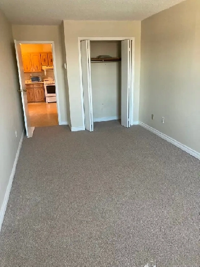 MOUNT FOREST....1 large apartment Dec 1st