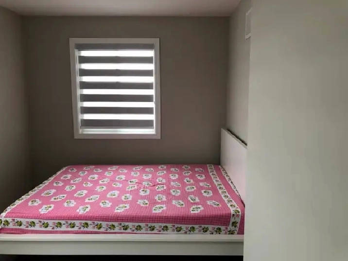 Private Room for rent
