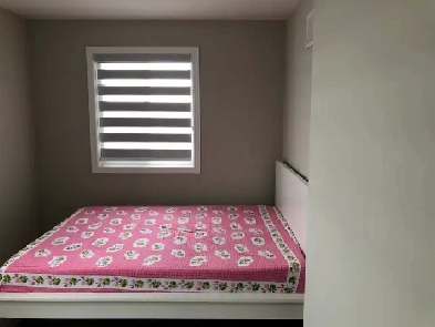 Private Room for rent